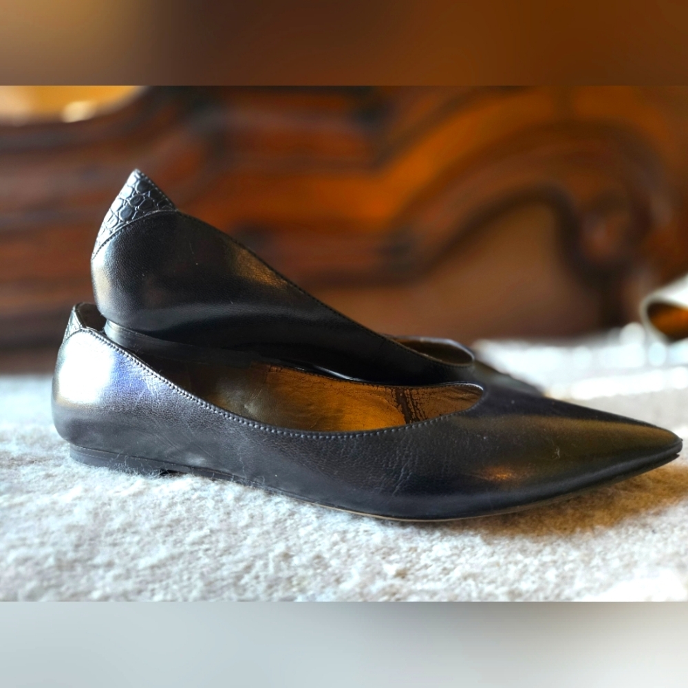 Sam Edelman pointy flats
